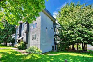 Photo 22: 7 25 GARDEN Drive in Vancouver: Hastings Condo for sale (Vancouver East)  : MLS®# R2880390