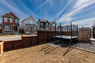 Photo 38: 401 Chinook Gate Square SW: Airdrie Detached for sale : MLS®# A2115212