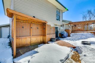 Photo 43: 5643 Dalrymple Hill NW in Calgary: Dalhousie Detached for sale : MLS®# A2032435