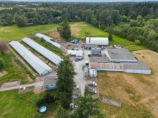 Photo 4: 711 256 Street in Langley: Otter District Agri-Business for sale : MLS®# C8053115