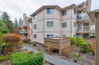 Photo 26: 206 455 BROMLEY Street in Coquitlam: Coquitlam East Condo for sale in "Las Palmas" : MLS®# R2747858