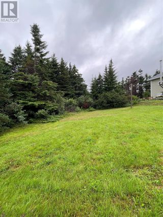 Photo 5: 13 Greenhill Road in Burin: House for sale : MLS®# 1262574