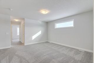 Photo 22: 101 CREEKSTONE Path SW in Calgary: C-168 Detached for sale : MLS®# C4300729