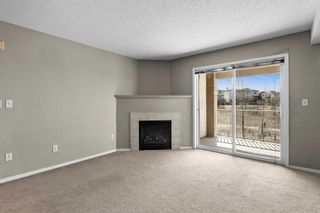 Photo 12: 320 4000 Citadel Meadow Point NW in Calgary: Citadel Apartment for sale : MLS®# A2123539