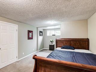 Photo 32: 106 Abalone Place NE in Calgary: Abbeydale Semi Detached for sale : MLS®# A1039180