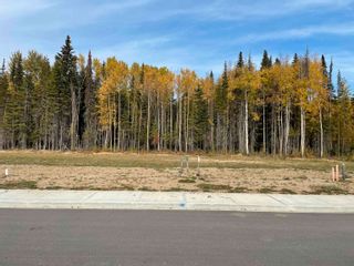Photo 4: 7136 HILLU Road in Prince George: North Kelly Land for sale in "Legacy Park" (PG City North)  : MLS®# R2727866