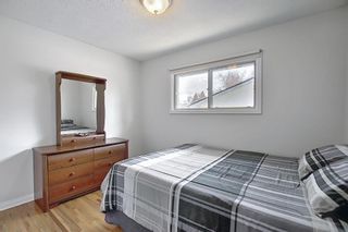 Photo 21: 166 Havenhurst Crescent SW in Calgary: Haysboro Detached for sale : MLS®# A1095089