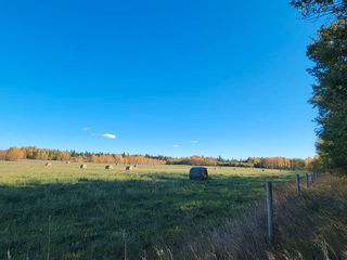 Photo 5: NW-4-67-19-4 , Boyle (Alpac): Rural Athabasca County Rural Land/Vacant Lot for sale : MLS®# E4264461