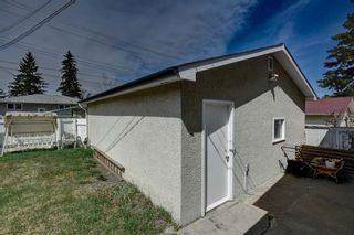 Photo 28: 212 68 Avenue NE in Calgary: Huntington Hills Detached for sale : MLS®# A2047768