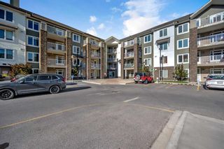 Photo 24: 1106 6118 80 Avenue NE in Calgary: Saddle Ridge Apartment for sale : MLS®# A2123612