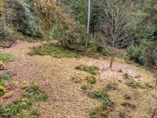 Photo 25: 3203 Clam Bay Rd in Pender Island: GI Pender Island Land for sale (Gulf Islands)  : MLS®# 896407