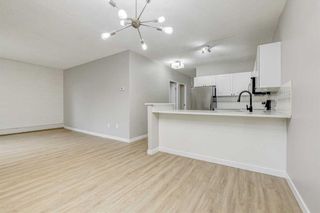 Photo 14: 102 1328 13 Avenue SW in Calgary: Beltline Apartment for sale : MLS®# A2065480