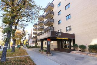 Photo 4: 204 250 Wellington Crescent in Winnipeg: Crescentwood Condominium for sale (1B)  : MLS®# 202304795