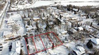 Photo 6: 2018 Burton Avenue in East St Paul: Birds Hill Town Residential for sale (3P)  : MLS®# 202401366