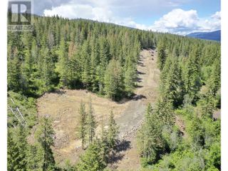 Photo 6: 345 Oxbow Place in Enderby: Vacant Land for sale : MLS®# 10309658