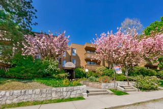 Photo 2: 105 7151 EDMONDS Street in Burnaby: Highgate Condo for sale in "BAKERVIEW" (Burnaby South)  : MLS®# R2054638