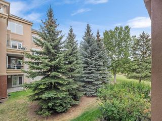 Photo 39: 1202 24 Hemlock Crescent SW in Calgary: Spruce Cliff Apartment for sale : MLS®# A2071622