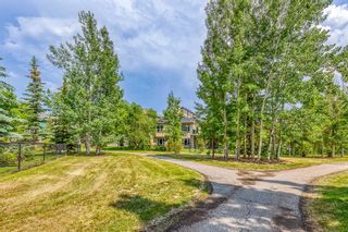 Photo 37: 59 Discovery Ridge Crescent SW in Calgary: Discovery Ridge Detached for sale : MLS®# A2056550