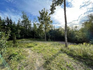 Photo 3: 84 English Point Road in Head Of Jeddore: 35-Halifax County East Vacant Land for sale (Halifax-Dartmouth)  : MLS®# 202221982