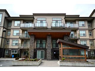 Photo 1: 309-30515 Cardinal Avenue in Abbotsford: Abbotsford West Condo for rent