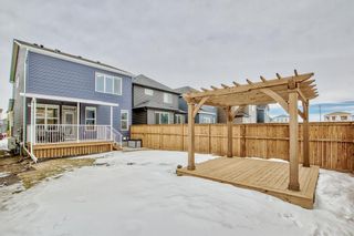 Photo 49: 31 Belmont Crescent SW in Calgary: Belmont Detached for sale : MLS®# A2026029