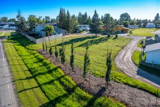 Photo 3: 4020 48 Avenue: Innisfail Residential Land for sale : MLS®# A1102894