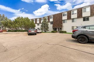 Photo 2: 201 516 Cedar Crescent SW in Calgary: Spruce Cliff Apartment for sale : MLS®# A2027231