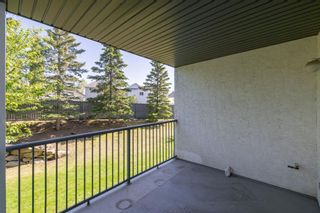 Photo 6: 204 55 Arbour Grove Close NW in Calgary: Arbour Lake Apartment for sale : MLS®# A2053299