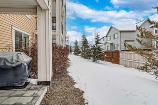 Photo 9: 1102 755 Copperpond Boulevard SE in Calgary: Copperfield Apartment for sale : MLS®# A2116861