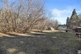 Photo 47: 54220 RGE RD 250: Rural Sturgeon County House for sale : MLS®# E4383623