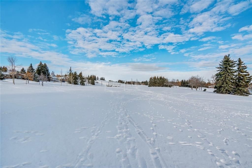 Photo 49: Photos: 936 TRAFFORD Drive NW in Calgary: Thorncliffe Detached for sale : MLS®# C4219404