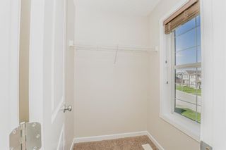 Photo 20: 42 Panora Street NW in Calgary: Panorama Hills Detached for sale : MLS®# A2127769