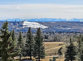 Photo 29: 2310 2310 Hawksbrow Point NW in Calgary: Hawkwood Apartment for sale : MLS®# A2122809