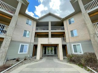 Photo 1: 315 1000 Citadel Meadow Point NW in Calgary: Citadel Apartment for sale : MLS®# A1221381