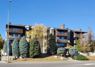 Photo 1: 307 3719C 49 Street NW in Calgary: Varsity Apartment for sale : MLS®# A2005770