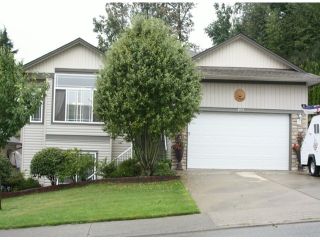 Photo 1: 8053 TOPPER Drive in Mission: Mission BC House for sale in "College heights" : MLS®# F1321815
