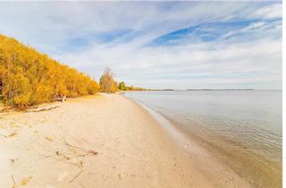 Photo 6: 247569 222 Highway in Gimli Rm: Vacant Land for sale : MLS®# 202312855