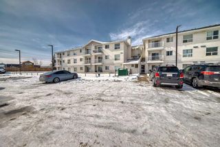Photo 26: 202 5555 Falsbridge Drive NE in Calgary: Falconridge Apartment for sale : MLS®# A2118008