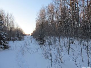 Photo 22: Recreational Land North-East of White Fox in Torch River: Lot/Land for sale (Torch River Rm No. 488)  : MLS®# SK909033