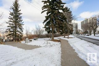 Photo 29: 112 8604 Gateway Boulevard NW in Edmonton: Zone 15 Condo for sale : MLS®# E4373347