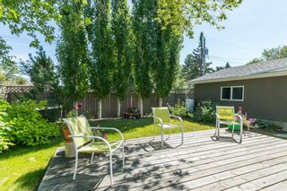 Photo 26: 16 WALNUT Drive SW in Calgary: Wildwood Detached for sale : MLS®# A1022816