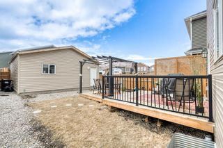 Photo 35: 13 Evanscrest Road NW in Calgary: Evanston Detached for sale : MLS®# A2039397