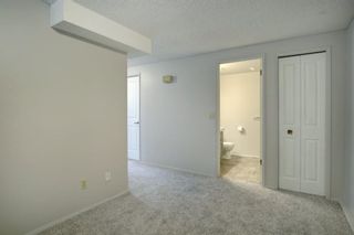 Photo 28: 258 Maunsell Close NE in Calgary: Mayland Heights Semi Detached for sale : MLS®# A1061854