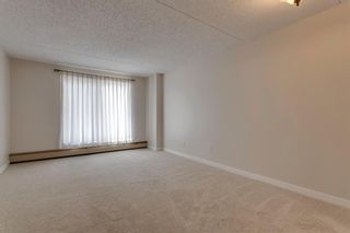 Photo 13: 203 5204 Dalton Drive NW in Calgary: Dalhousie Apartment for sale : MLS®# A2008661