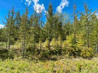 Photo 5: LOT 7 S SOMERSET Drive: Cluculz Lake Land for sale in "SOMERSET ESTATES" (PG Rural West (Zone 77))  : MLS®# R2596563