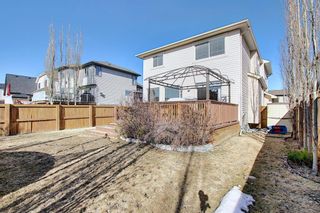 Photo 44: 277 Tuscany Ridge Heights NW in Calgary: Tuscany Detached for sale : MLS®# A1095708