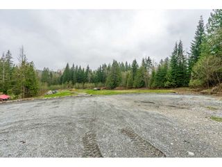 Photo 20: 29861 DEWDNEY TRUNK Road in Mission: Stave Falls House for sale : MLS®# R2357825
