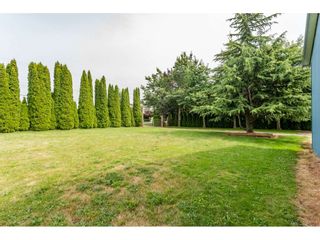 Photo 20: 703 CLEARBROOK Road in Abbotsford: Poplar House for sale : MLS®# R2387307