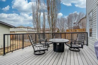 Photo 22: 128 Prestwick Point SE in Calgary: McKenzie Towne Detached for sale : MLS®# A1199354