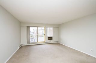 Photo 8: 307-12096 222nd in Maple Ridge: West Central Condo for sale : MLS®# R2065694